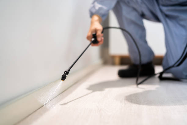 Licensed Rodent Control service in Monongalia County County, WV - Nex Pest Control